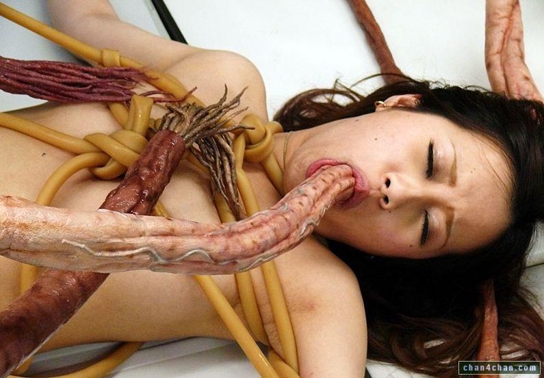 Tentacles japanese