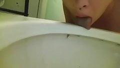 Scarecrow recommend best of toilet seat licking