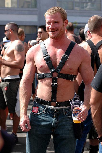 Sideline recommendet chest harness