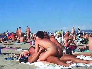 Opal reccomend public swinger beach sex