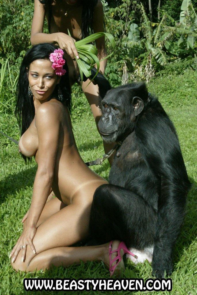 Hun reccomend Chimpanzees fuck girls