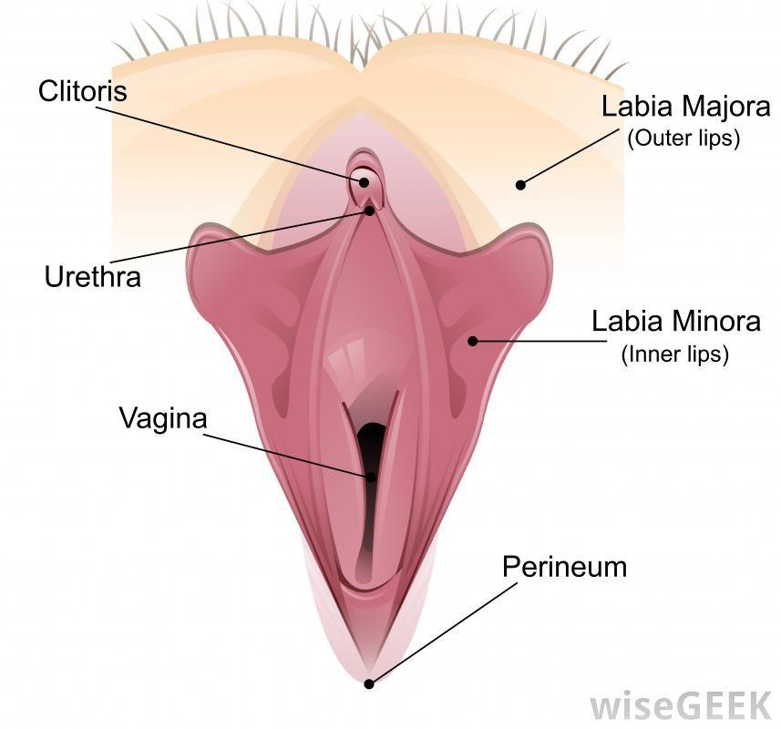 Countess reccomend Clitoris enlargement techniques