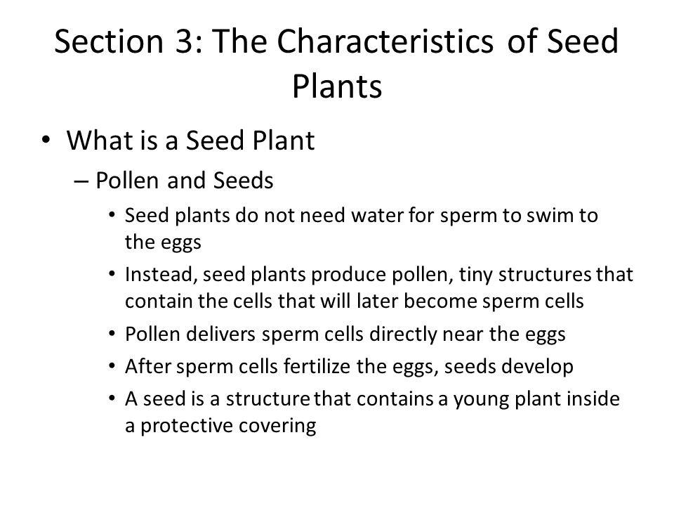 best of Cells seed plants Sperm