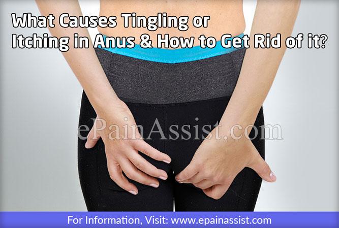 Pinworm healing the anus