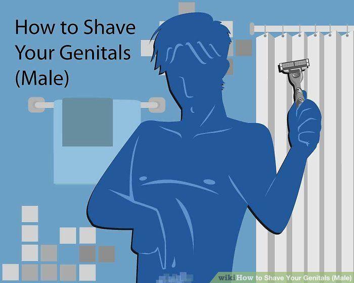Gunner reccomend Best shaver to shave a pussy