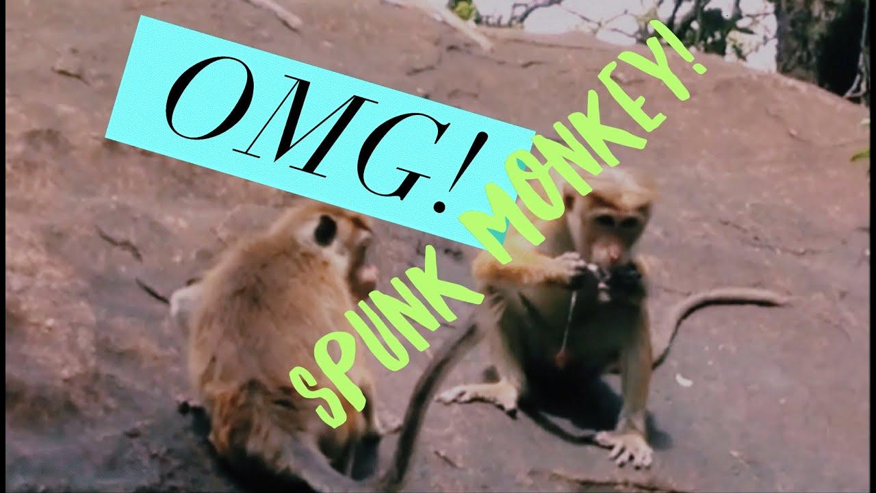 Monkey spunk video