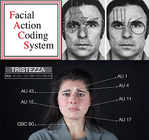 Virgo reccomend Facial action coding system facs learn