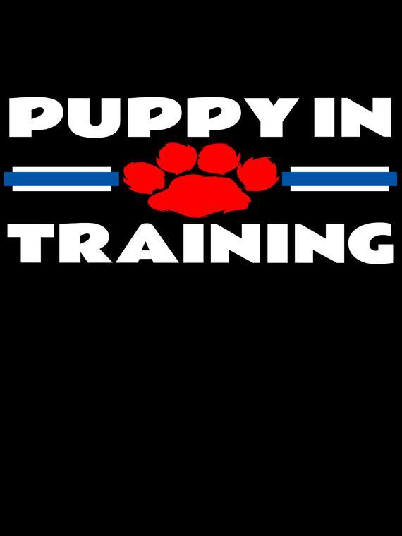 Fetish puppy training