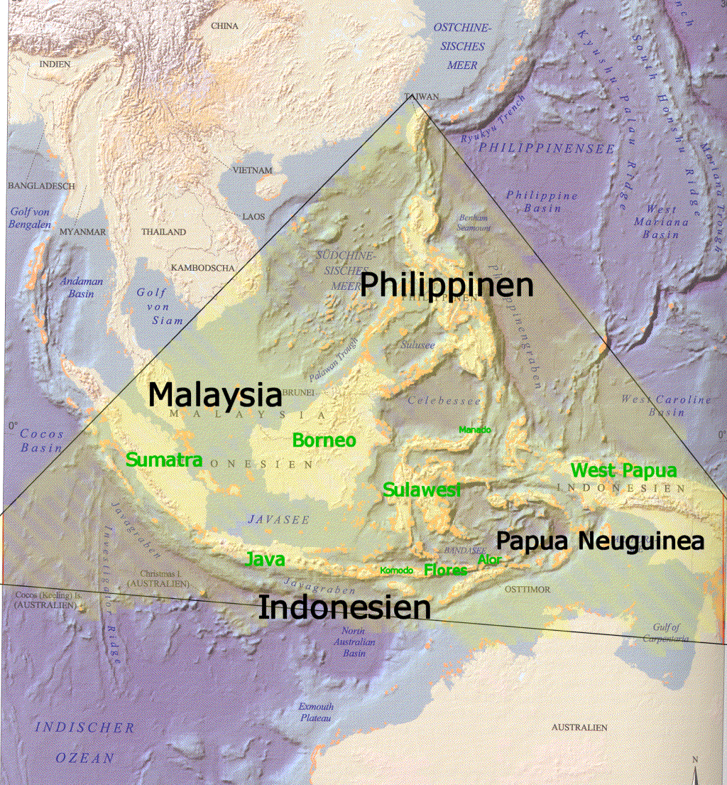 Asian pacific triangle
