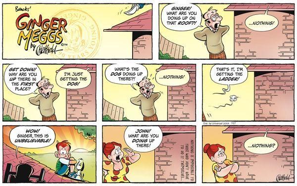 best of Strip comic Ginger meggs