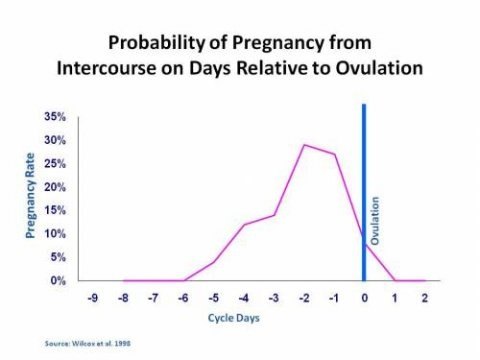 best of Three ovulation Sex days before