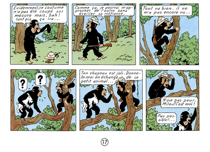 Monkey comic strip