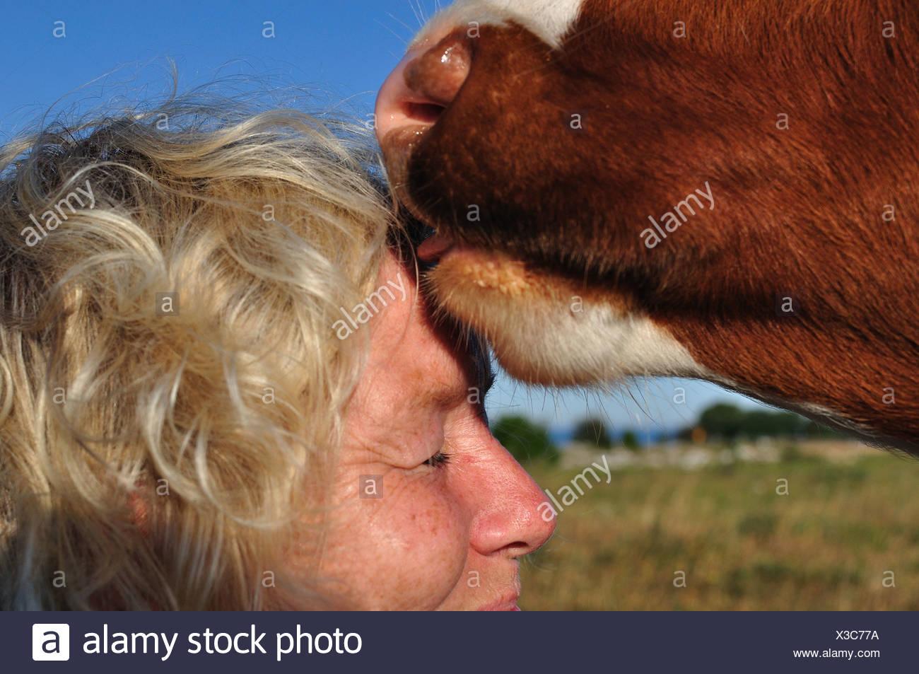 best of Lick cow Woman