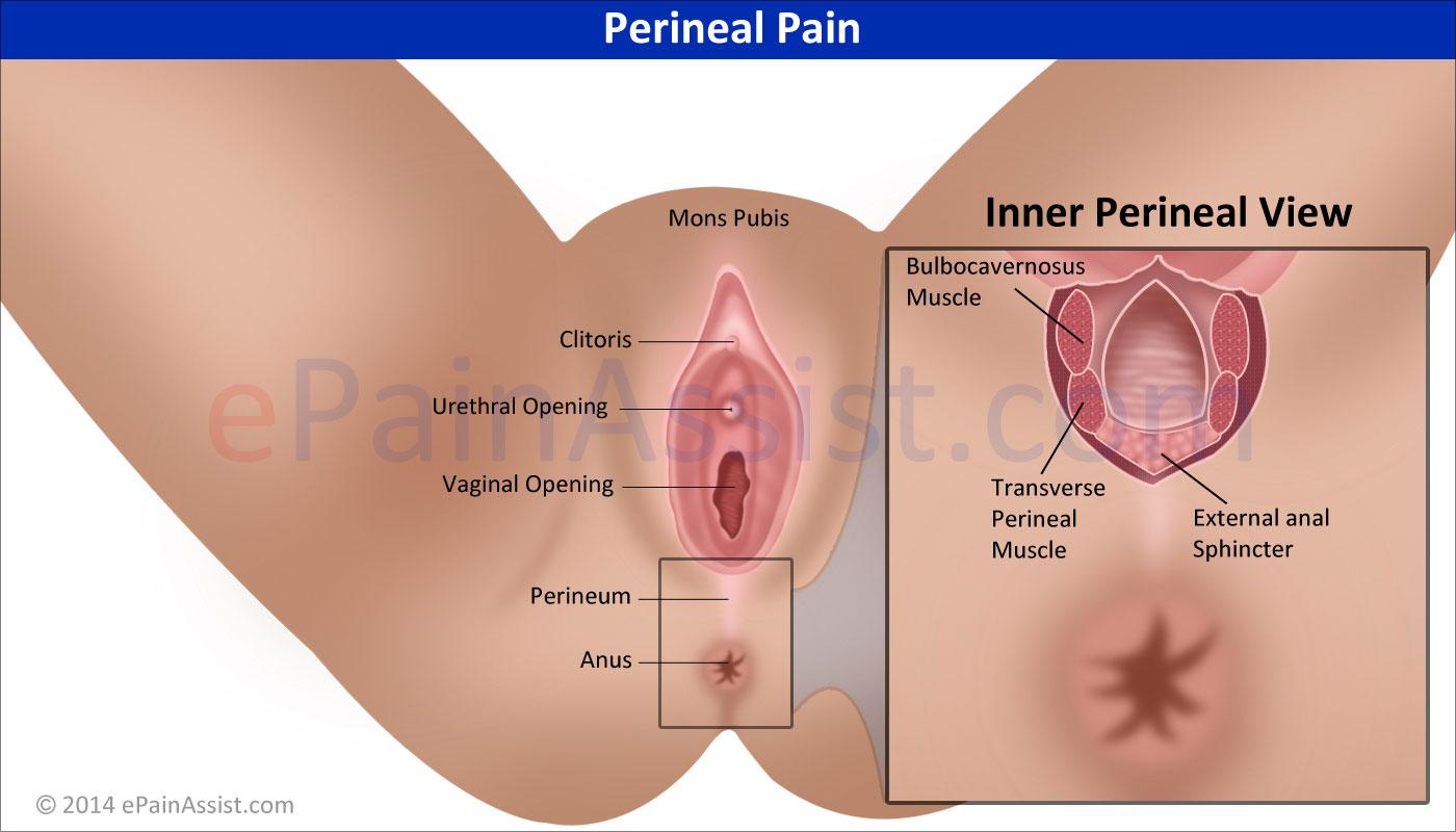 Vaginal penetration cunnilingus