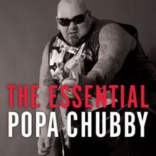 Gunner reccomend Popa chubby lyrics