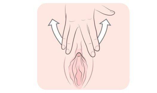 Catnip reccomend Masturbate clitoris images