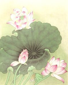 Asian lotus folklore