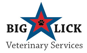 Geneva reccomend Big lick veterinary service