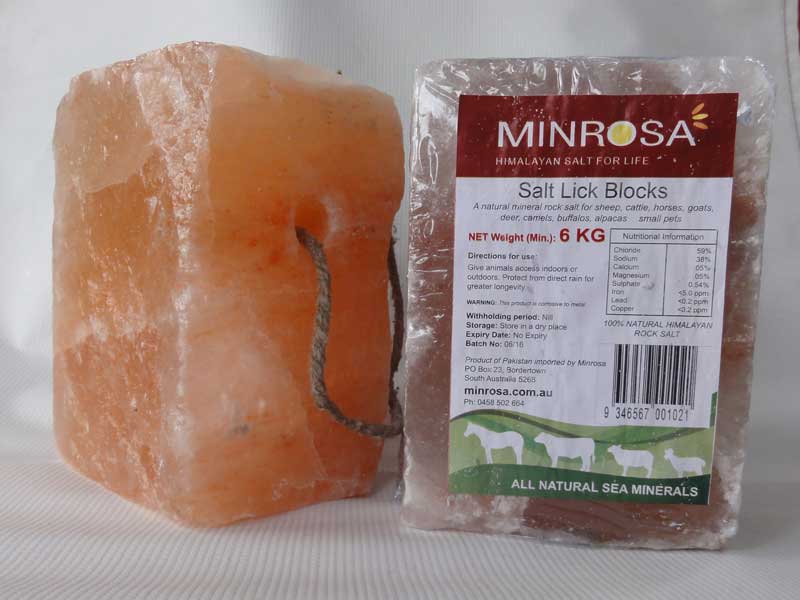 best of Lick mineral Block