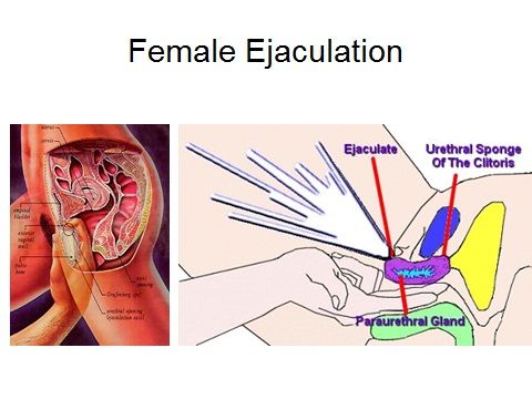 Clit female ejaculation