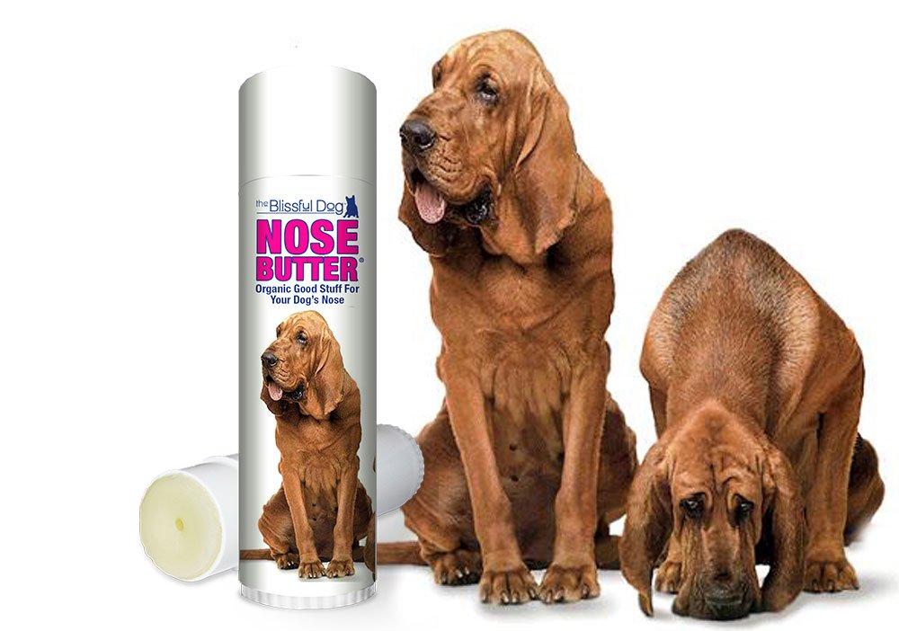 best of Bloodhounds Dry lick