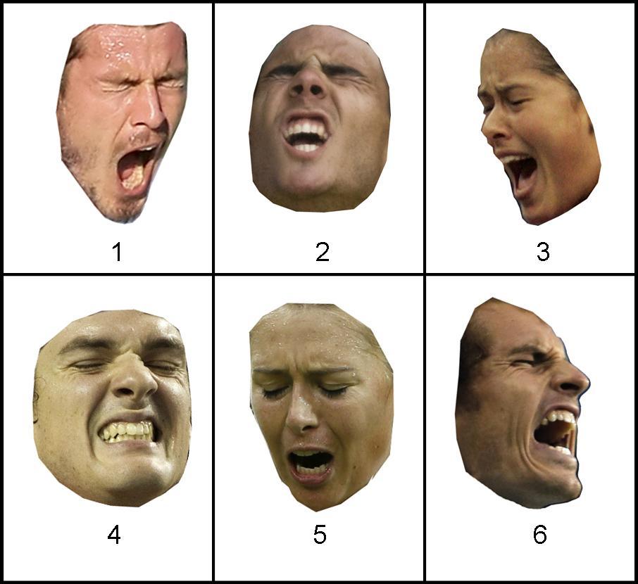Expression facial language