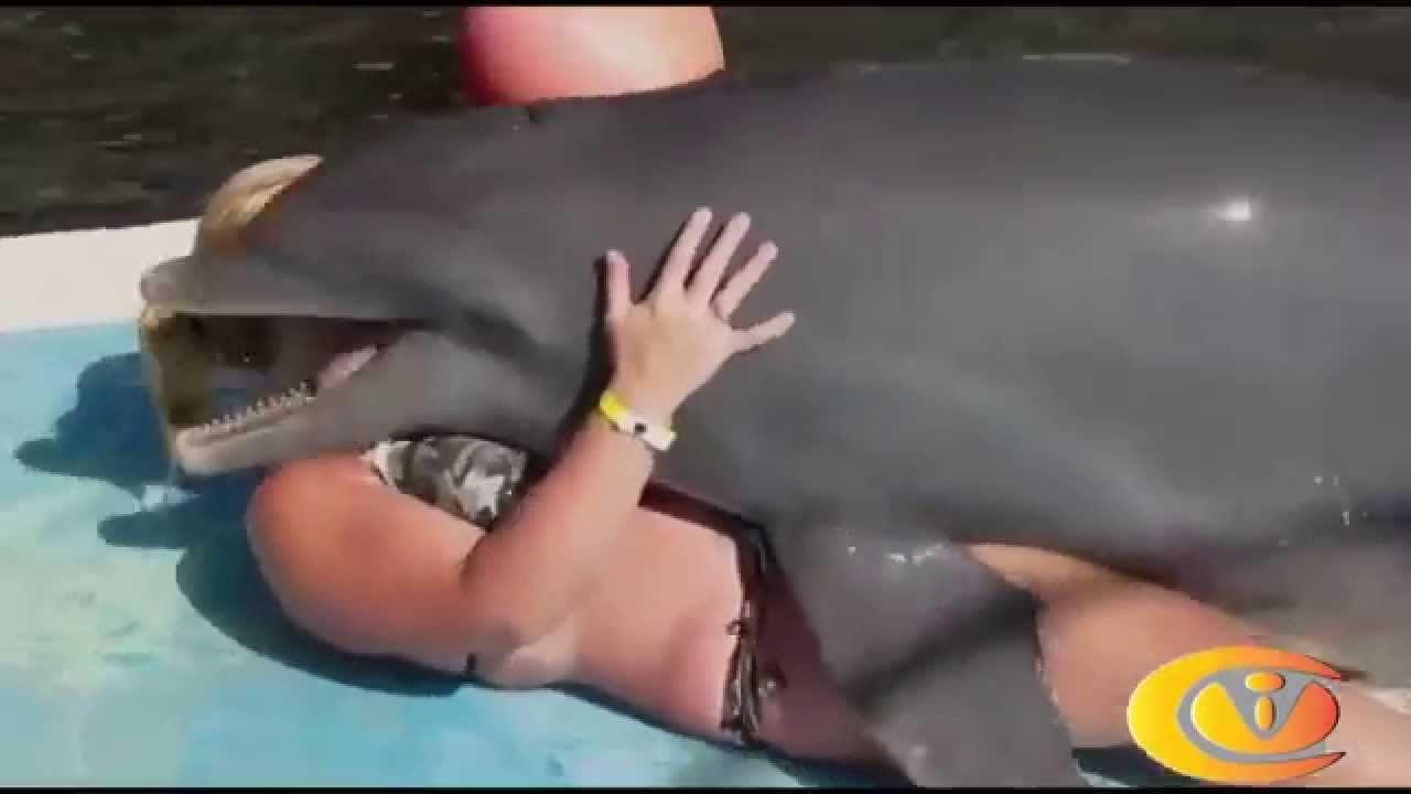 Girl Has Sex With Dolphin Porn - Telegraph