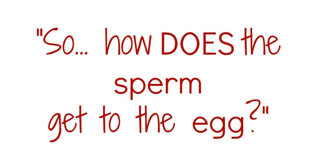 best of Of metting egg sperm Interference