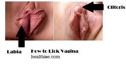 How To Lick A Womans Vagina