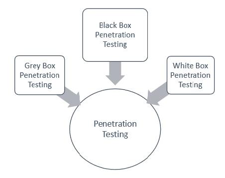 Tin M. reccomend Penetration testing example