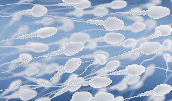 Tart reccomend Preservation of sperm